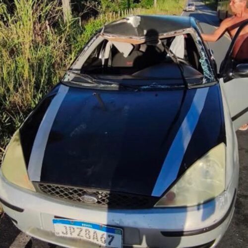 Carro colide com cavalo em São Francisco do Conde; alerta feito ontem se confirma
