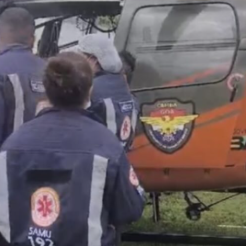 Criança de 7 anos que levou coice de animal em Santo Amaro teve traumatismo cranioencefálico