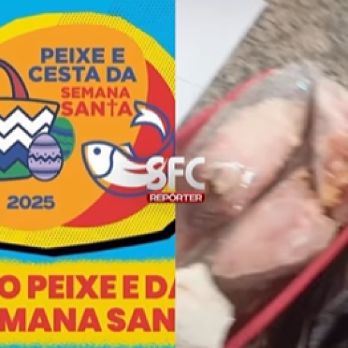 Beneficiários de São Francisco do Conde reclamam de “peixes podres” distribuídos pela Prefeitura